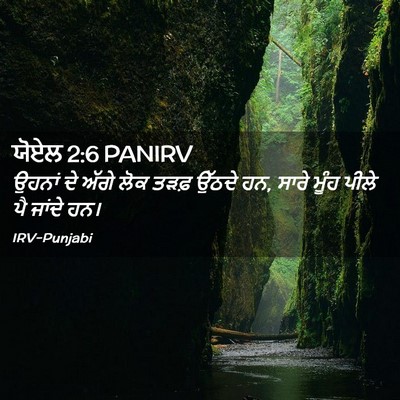Picture 02 - ਯੋਏਲ 2:6 PANIRV - ਉਹਨਾਂ ਦੇ ਅੱਗੇ ਲੋਕ - Bible Verse Picture