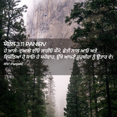 Picture 02 - ਯੋਏਲ 3:11 PANIRV - ਹੇ ਆਲੇ-ਦੁਆਲੇ ਦੀਓ - Bible Verse Picture