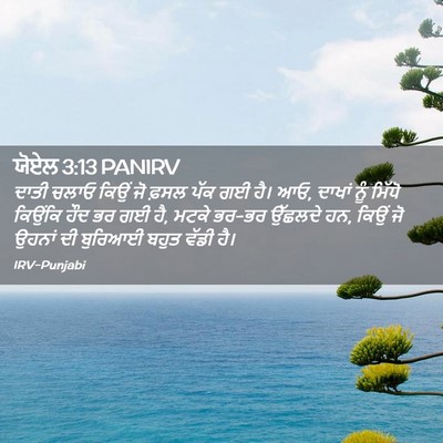Picture 02 - ਯੋਏਲ 3:13 PANIRV - ਦਾਤੀ ਚਲਾਓ ਕਿਉਂ ਜੋ - Bible Verse Picture