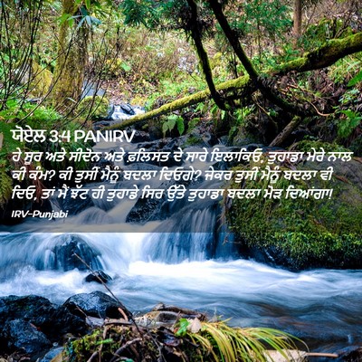 Picture 02 - ਯੋਏਲ 3:4 PANIRV - ਹੇ ਸੂਰ ਅਤੇ ਸੀਦੋਨ - Bible Verse Picture