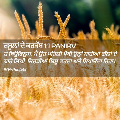 Picture 02 - ਰਸੂਲਾਂ ਦੇ ਕਰਤੱਬ 1:1 PANIRV - ਹੇ ਥਿਉਫ਼ਿਲੁਸ, ਮੈਂ - Bible Verse Picture