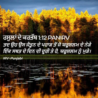 Picture 02 - ਰਸੂਲਾਂ ਦੇ ਕਰਤੱਬ 1:12 PANIRV - ਤਦ ਉਹ ਉਸ ਜੈਤੂਨ ਦੇ - Bible Verse Picture
