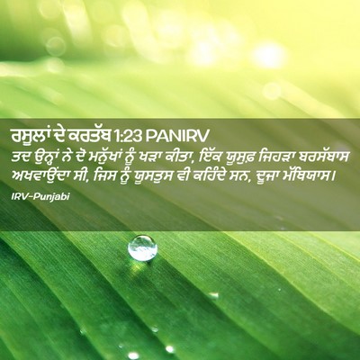 Picture 02 - ਰਸੂਲਾਂ ਦੇ ਕਰਤੱਬ 1:23 PANIRV - ਤਦ ਉਨ੍ਹਾਂ ਨੇ ਦੋ - Bible Verse Picture