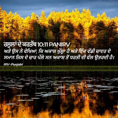 Picture 02 - ਰਸੂਲਾਂ ਦੇ ਕਰਤੱਬ 10:11 PANIRV - ਅਤੇ ਉਸ ਨੇ ਵੇਖਿਆ, ਕਿ - Bible Verse Picture