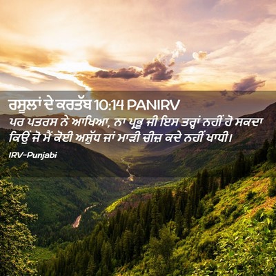 Picture 02 - ਰਸੂਲਾਂ ਦੇ ਕਰਤੱਬ 10:14 PANIRV - ਪਰ ਪਤਰਸ ਨੇ ਆਖਿਆ, ਨਾ - Bible Verse Picture