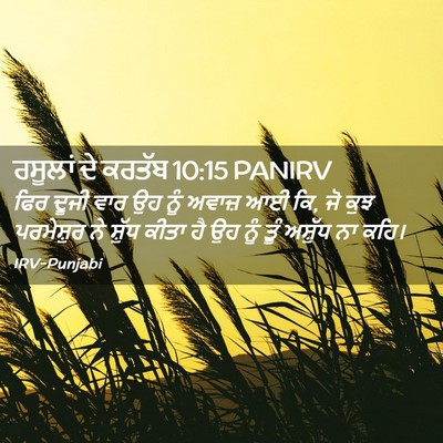 Picture 02 - ਰਸੂਲਾਂ ਦੇ ਕਰਤੱਬ 10:15 PANIRV - ਫਿਰ ਦੂਜੀ ਵਾਰ ਉਹ ਨੂੰ - Bible Verse Picture