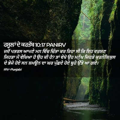 Picture 02 - ਰਸੂਲਾਂ ਦੇ ਕਰਤੱਬ 10:17 PANIRV - ਜਦੋਂ ਪਤਰਸ ਆਪਣੇ ਮਨ - Bible Verse Picture