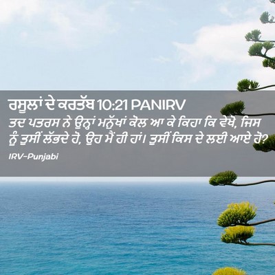 Picture 02 - ਰਸੂਲਾਂ ਦੇ ਕਰਤੱਬ 10:21 PANIRV - ਤਦ ਪਤਰਸ ਨੇ ਉਨ੍ਹਾਂ - Bible Verse Picture