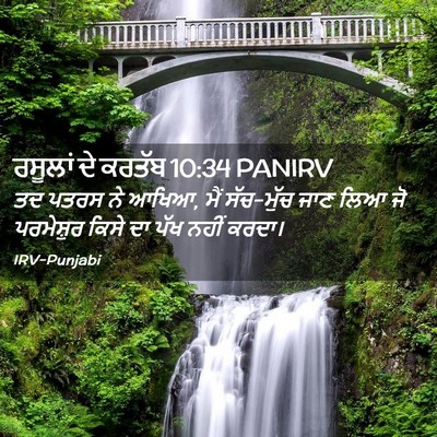 Picture 02 - ਰਸੂਲਾਂ ਦੇ ਕਰਤੱਬ 10:34 PANIRV - ਤਦ ਪਤਰਸ ਨੇ ਆਖਿਆ, - Bible Verse Picture