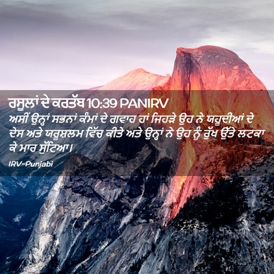 Picture 02 - ਰਸੂਲਾਂ ਦੇ ਕਰਤੱਬ 10:39 PANIRV - ਅਸੀਂ ਉਨ੍ਹਾਂ ਸਭਨਾਂ - Bible Verse Picture