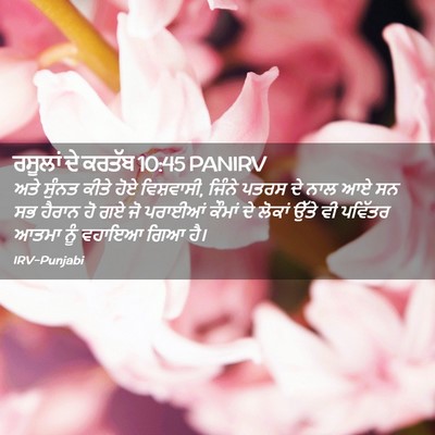 Picture 02 - ਰਸੂਲਾਂ ਦੇ ਕਰਤੱਬ 10:45 PANIRV - ਅਤੇ ਸੁੰਨਤ ਕੀਤੇ ਹੋਏ - Bible Verse Picture