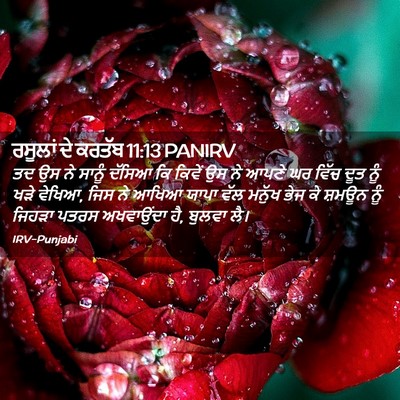 Picture 02 - ਰਸੂਲਾਂ ਦੇ ਕਰਤੱਬ 11:13 PANIRV - ਤਦ ਉਸ ਨੇ ਸਾਨੂੰ - Bible Verse Picture