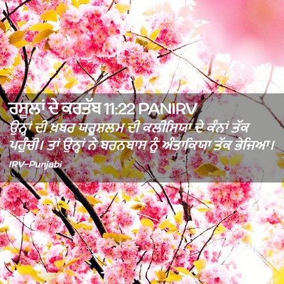 Picture 02 - ਰਸੂਲਾਂ ਦੇ ਕਰਤੱਬ 11:22 PANIRV - ਉਨ੍ਹਾਂ ਦੀ ਖ਼ਬਰ - Bible Verse Picture