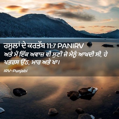 Picture 02 - ਰਸੂਲਾਂ ਦੇ ਕਰਤੱਬ 11:7 PANIRV - ਅਤੇ ਮੈਂ ਇੱਕ ਅਵਾਜ਼ - Bible Verse Picture