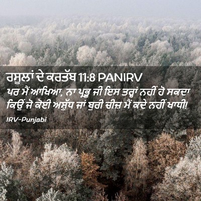 Picture 02 - ਰਸੂਲਾਂ ਦੇ ਕਰਤੱਬ 11:8 PANIRV - ਪਰ ਮੈਂ ਆਖਿਆ, ਨਾ - Bible Verse Picture