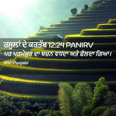 Picture 02 - ਰਸੂਲਾਂ ਦੇ ਕਰਤੱਬ 12:24 PANIRV - ਪਰ ਪਰਮੇਸ਼ੁਰ ਦਾ ਬਚਨ - Bible Verse Picture