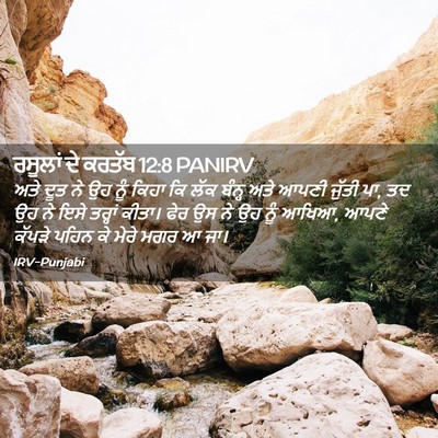 Picture 02 - ਰਸੂਲਾਂ ਦੇ ਕਰਤੱਬ 12:8 PANIRV - ਅਤੇ ਦੂਤ ਨੇ ਉਹ ਨੂੰ - Bible Verse Picture
