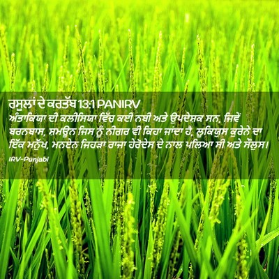 Picture 02 - ਰਸੂਲਾਂ ਦੇ ਕਰਤੱਬ 13:1 PANIRV - ਅੰਤਾਕਿਯਾ ਦੀ - Bible Verse Picture
