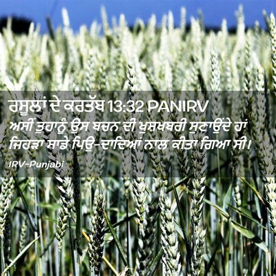Picture 02 - ਰਸੂਲਾਂ ਦੇ ਕਰਤੱਬ 13:32 PANIRV - ਅਸੀਂ ਤੁਹਾਨੂੰ ਉਸ - Bible Verse Picture