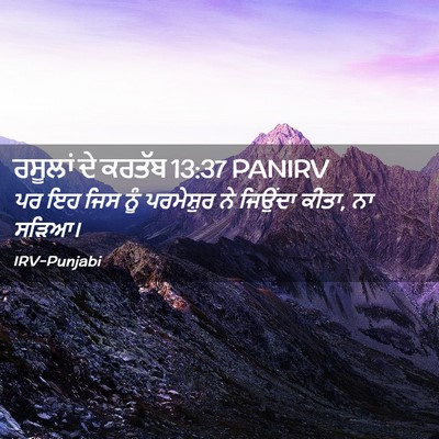 Picture 02 - ਰਸੂਲਾਂ ਦੇ ਕਰਤੱਬ 13:37 PANIRV - ਪਰ ਇਹ ਜਿਸ ਨੂੰ - Bible Verse Picture