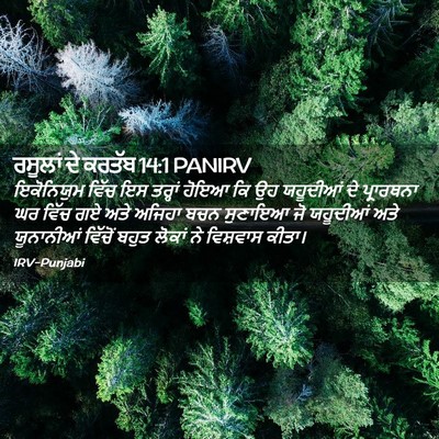 Picture 02 - ਰਸੂਲਾਂ ਦੇ ਕਰਤੱਬ 14:1 PANIRV - ਇਕੋਨਿਯੁਮ ਵਿੱਚ ਇਸ - Bible Verse Picture