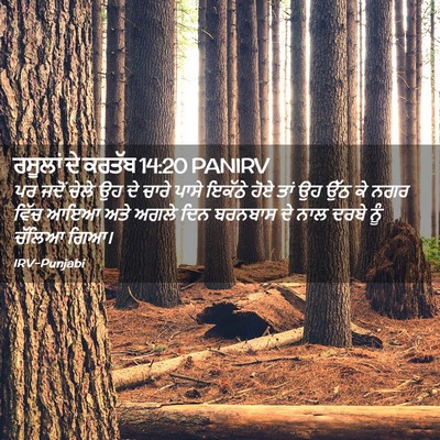 Picture 02 - ਰਸੂਲਾਂ ਦੇ ਕਰਤੱਬ 14:20 PANIRV - ਪਰ ਜਦੋਂ ਚੇਲੇ ਉਹ ਦੇ - Bible Verse Picture