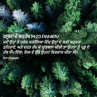 Picture 02 - ਰਸੂਲਾਂ ਦੇ ਕਰਤੱਬ 14:23 PANIRV - ਜਦੋਂ ਉਨ੍ਹਾਂ ਨੇ - Bible Verse Picture