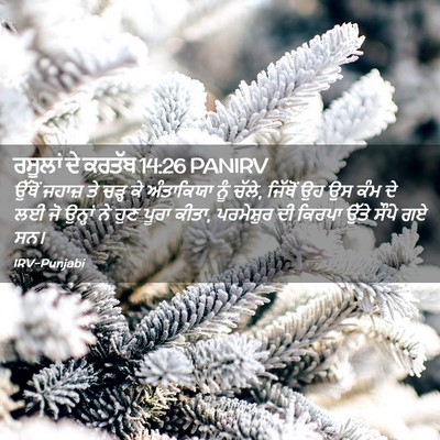 Picture 02 - ਰਸੂਲਾਂ ਦੇ ਕਰਤੱਬ 14:26 PANIRV - ਉੱਥੋਂ ਜਹਾਜ਼ ਤੇ - Bible Verse Picture