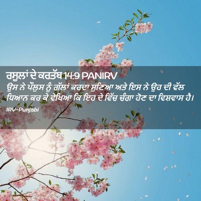 Picture 02 - ਰਸੂਲਾਂ ਦੇ ਕਰਤੱਬ 14:9 PANIRV - ਉਸ ਨੇ ਪੌਲੁਸ ਨੂੰ - Bible Verse Picture