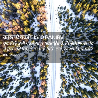 Picture 02 - ਰਸੂਲਾਂ ਦੇ ਕਰਤੱਬ 15:10 PANIRV - ਹੁਣ ਕਿਉਂ ਤੁਸੀਂ - Bible Verse Picture