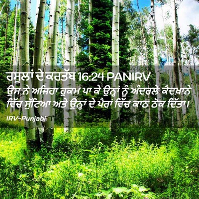Picture 02 - ਰਸੂਲਾਂ ਦੇ ਕਰਤੱਬ 16:24 PANIRV - ਉਸ ਨੇ ਅਜਿਹਾ ਹੁਕਮ ਪਾ - Bible Verse Picture
