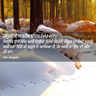 Picture 02 - ਰਸੂਲਾਂ ਦੇ ਕਰਤੱਬ 17:28 PANIRV - ਕਿਉਂਕਿ ਉਸੇ ਵਿੱਚ - Bible Verse Picture