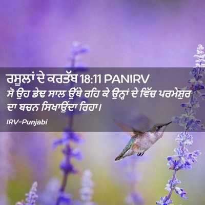 Picture 02 - ਰਸੂਲਾਂ ਦੇ ਕਰਤੱਬ 18:11 PANIRV - ਸੋ ਉਹ ਡੇਢ ਸਾਲ ਉੱਥੇ - Bible Verse Picture