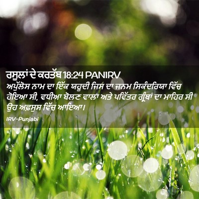 Picture 02 - ਰਸੂਲਾਂ ਦੇ ਕਰਤੱਬ 18:24 PANIRV - ਅਪੁੱਲੋਸ ਨਾਮ ਦਾ ਇੱਕ - Bible Verse Picture
