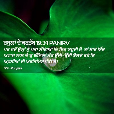 Picture 02 - ਰਸੂਲਾਂ ਦੇ ਕਰਤੱਬ 19:34 PANIRV - ਪਰ ਜਦੋਂ ਉਨ੍ਹਾਂ ਨੂੰ - Bible Verse Picture