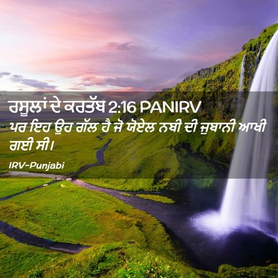 Picture 02 - ਰਸੂਲਾਂ ਦੇ ਕਰਤੱਬ 2:16 PANIRV - ਪਰ ਇਹ ਉਹ ਗੱਲ ਹੈ ਜੋ - Bible Verse Picture