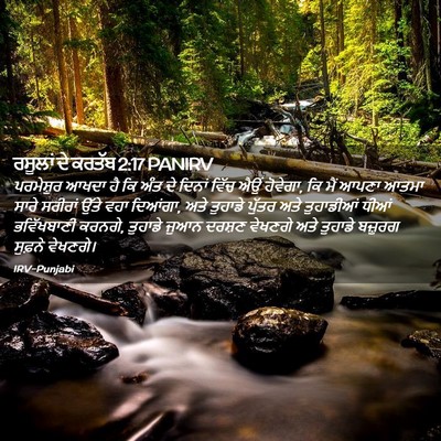 Picture 02 - ਰਸੂਲਾਂ ਦੇ ਕਰਤੱਬ 2:17 PANIRV - ਪਰਮੇਸ਼ੁਰ ਆਖਦਾ ਹੈ - Bible Verse Picture