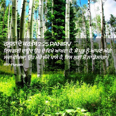 Picture 02 - ਰਸੂਲਾਂ ਦੇ ਕਰਤੱਬ 2:25 PANIRV - ਇਸ ਲਈ ਦਾਊਦ ਉਹ ਦੇ - Bible Verse Picture