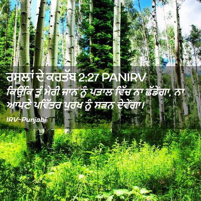 Picture 02 - ਰਸੂਲਾਂ ਦੇ ਕਰਤੱਬ 2:27 PANIRV - ਕਿਉਂਕਿ ਤੂੰ ਮੇਰੀ - Bible Verse Picture