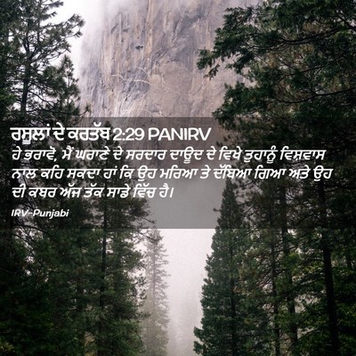 Picture 02 - ਰਸੂਲਾਂ ਦੇ ਕਰਤੱਬ 2:29 PANIRV - ਹੇ ਭਰਾਵੋ, ਮੈਂ ਘਰਾਣੇ - Bible Verse Picture