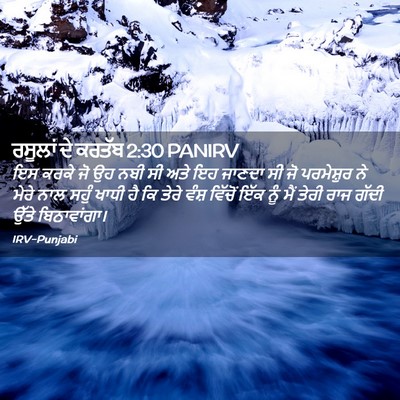 Picture 02 - ਰਸੂਲਾਂ ਦੇ ਕਰਤੱਬ 2:30 PANIRV - ਇਸ ਕਰਕੇ ਜੋ ਉਹ ਨਬੀ - Bible Verse Picture