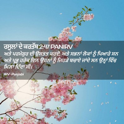 Picture 02 - ਰਸੂਲਾਂ ਦੇ ਕਰਤੱਬ 2:47 PANIRV - ਅਤੇ ਪਰਮੇਸ਼ੁਰ ਦੀ - Bible Verse Picture