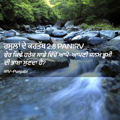 Picture 02 - ਰਸੂਲਾਂ ਦੇ ਕਰਤੱਬ 2:8 PANIRV - ਫੇਰ ਕਿਵੇਂ ਹਰੇਕ - Bible Verse Picture