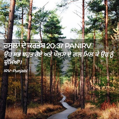 Picture 02 - ਰਸੂਲਾਂ ਦੇ ਕਰਤੱਬ 20:37 PANIRV - ਉਹ ਸਭ ਬਹੁਤ ਰੋਏ ਅਤੇ - Bible Verse Picture