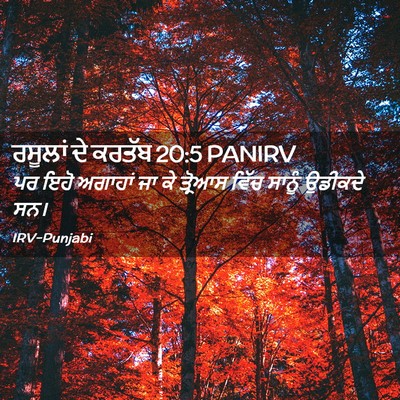 Picture 02 - ਰਸੂਲਾਂ ਦੇ ਕਰਤੱਬ 20:5 PANIRV - ਪਰ ਇਹੋ ਅਗਾਹਾਂ ਜਾ ਕੇ - Bible Verse Picture
