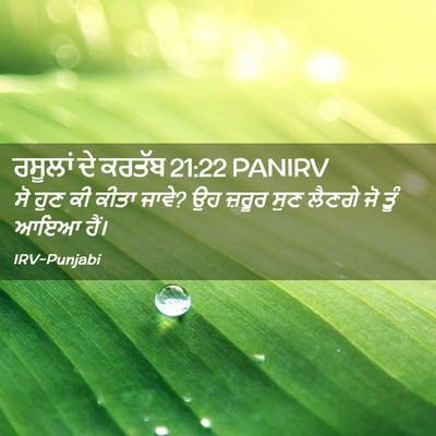 Picture 02 - ਰਸੂਲਾਂ ਦੇ ਕਰਤੱਬ 21:22 PANIRV - ਸੋ ਹੁਣ ਕੀ ਕੀਤਾ - Bible Verse Picture