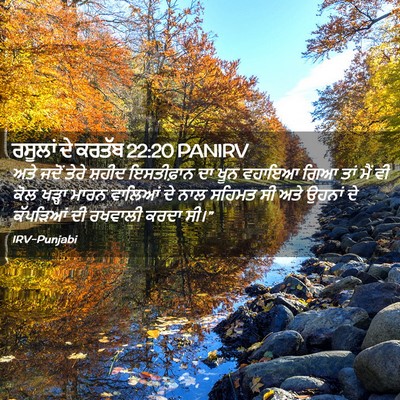 Picture 02 - ਰਸੂਲਾਂ ਦੇ ਕਰਤੱਬ 22:20 PANIRV - ਅਤੇ ਜਦੋਂ ਤੇਰੇ - Bible Verse Picture