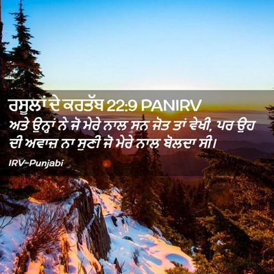 Picture 02 - ਰਸੂਲਾਂ ਦੇ ਕਰਤੱਬ 22:9 PANIRV - ਅਤੇ ਉਨ੍ਹਾਂ ਨੇ ਜੋ - Bible Verse Picture
