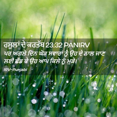 Picture 02 - ਰਸੂਲਾਂ ਦੇ ਕਰਤੱਬ 23:32 PANIRV - ਪਰ ਅਗਲੇ ਦਿਨ ਘੋੜ - Bible Verse Picture