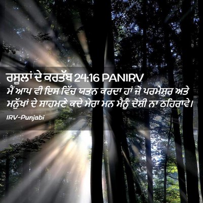 Picture 02 - ਰਸੂਲਾਂ ਦੇ ਕਰਤੱਬ 24:16 PANIRV - ਮੈਂ ਆਪ ਵੀ ਇਸ ਵਿੱਚ - Bible Verse Picture